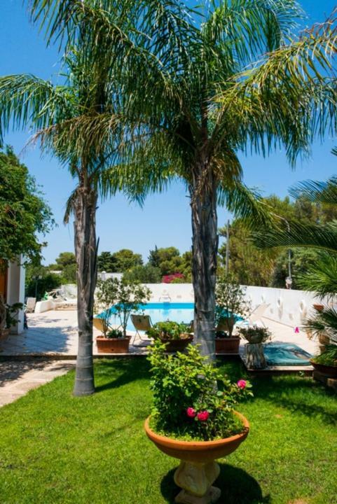 Villa Cancelliere Сан Вито ло Капо Екстериор снимка