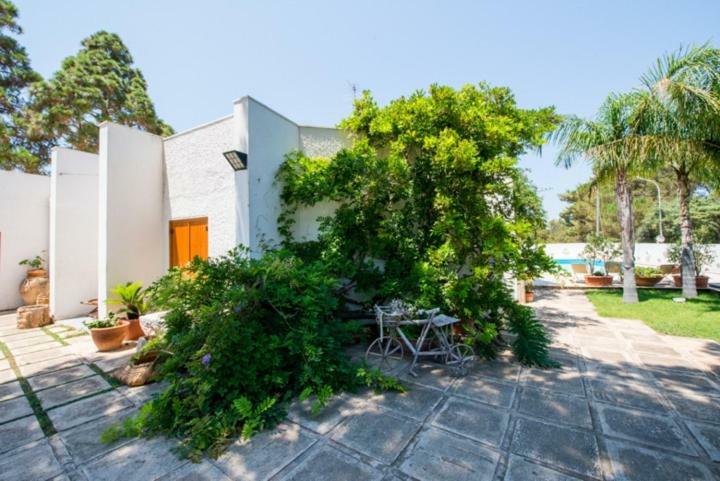 Villa Cancelliere Сан Вито ло Капо Екстериор снимка